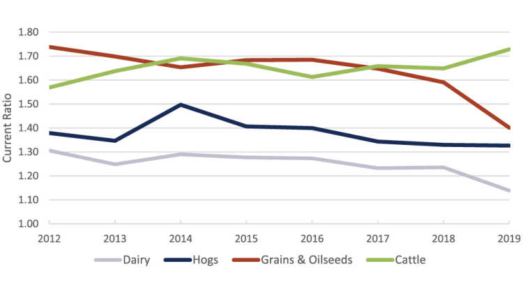 Chart showing average current ratio for dairy, hogs, cattle and grains and oilseeds from 2012 - 2019
