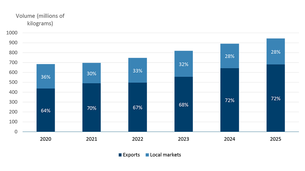Combined chart showing greenhouse vegetable production and export volumes both trending upward from 2020 to 2025. Production rises steadily while exports also increase, illustrating that stronger domestic output is increasingly tied to export growth.
