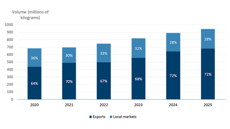 Combined chart showing greenhouse vegetable production and export volumes both trending upward from 2020 to 2025. Production rises steadily while exports also increase, illustrating that stronger domestic output is increasingly tied to export growth.
