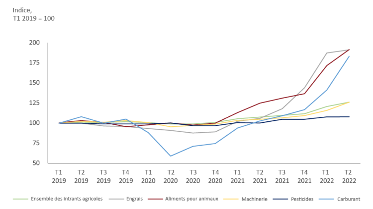Graphique montrant le figure 1 : Les aliments pour animaux, le carburant et les engrais sont en tête de l’indice d’inflation
