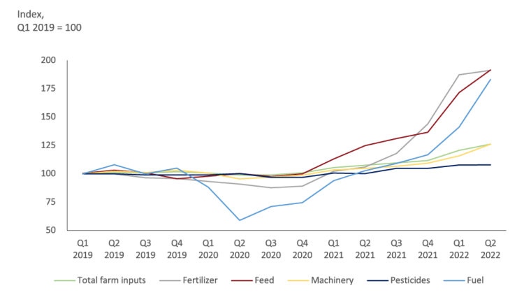 Chart showing: Figure 1: Feed, fuel and fertilizers top inflation index
