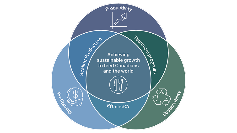 Long-term agricultural productivity growth depends on the intersection of productivity, profitability, and sustainability, with efficiency at the core. Achieving sustainable growth requires coordinated progress in scaling production, technical innovation, and responsible resource management.
