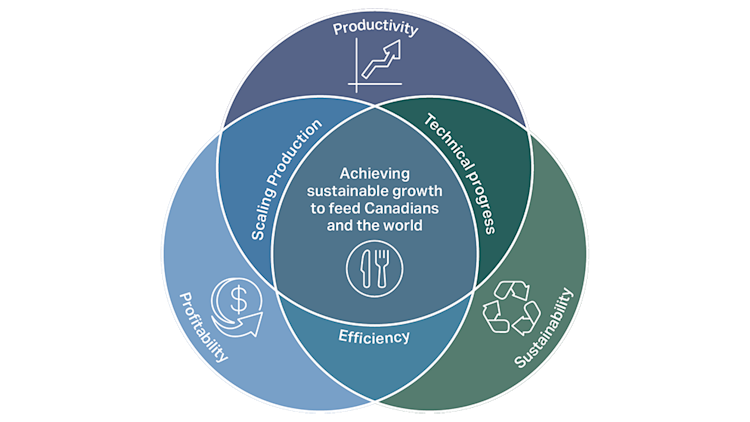 Long-term agricultural productivity growth depends on the intersection of productivity, profitability, and sustainability, with efficiency at the core. Achieving sustainable growth requires coordinated progress in scaling production, technical innovation, and responsible resource management.