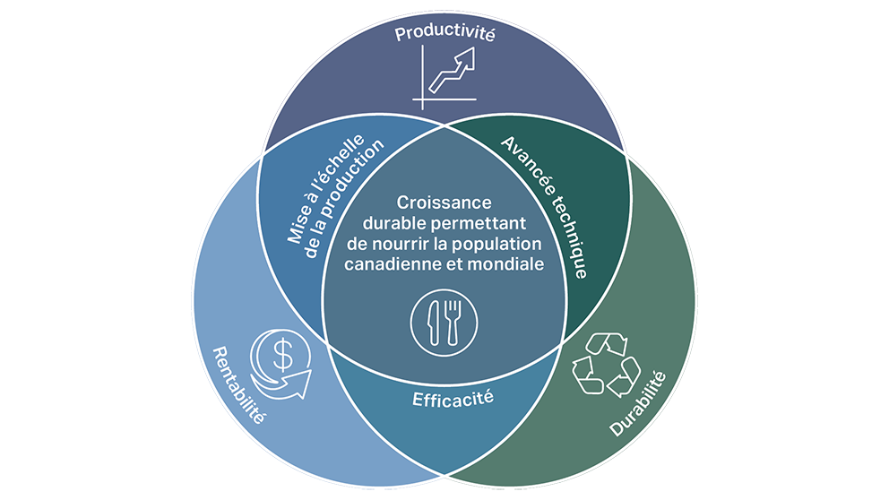 La croissance à long terme de la productivité agricole nécessite une convergence de la productivité, de la rentabilité et de la durabilité, l'efficacité étant aussi au cœur de l'action. Pour parvenir à une croissance durable, il faut des progrès coordonnés dans la mise à l'échelle de la production, l'innovation technique et la gestion responsable des ressources.
