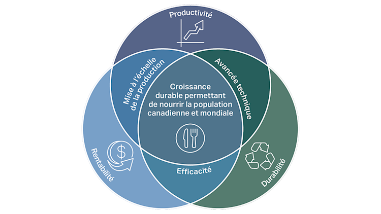 La croissance à long terme de la productivité agricole nécessite une convergence de la productivité, de la rentabilité et de la durabilité, l'efficacité étant aussi au cœur de l'action. Pour parvenir à une croissance durable, il faut des progrès coordonnés dans la mise à l'échelle de la production, l'innovation technique et la gestion responsable des ressources.