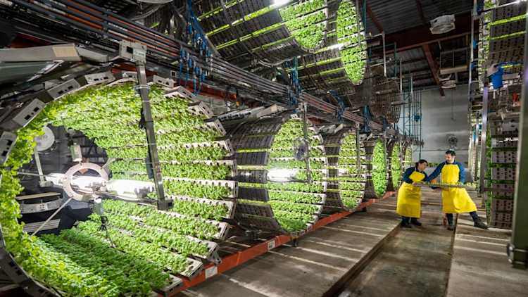 Indoor farming barrel.
