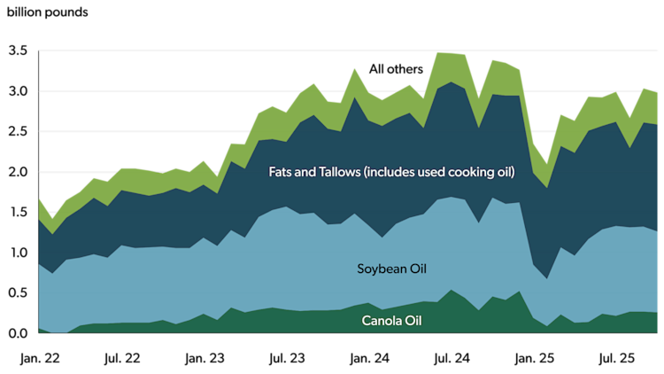 Stacked area chart showing U.S. biofuel feedstock demand from January 2022 to mid‑2025, measured in billion pounds. Soybean oil and fats and tallows make up the largest shares, with smaller contributions from canola oil and other feedstocks. Total feedstock demand rises through 2023 and 2024, then declines sharply in early 2025.