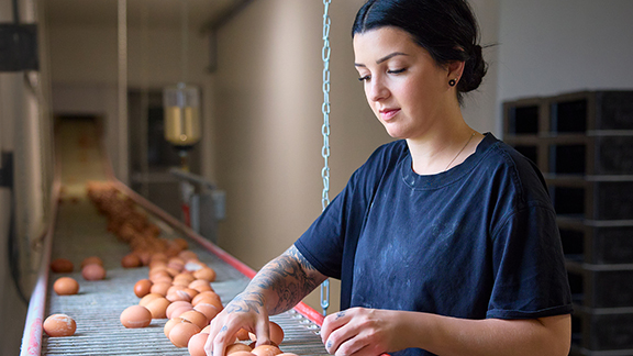 Financing you can build a dream on