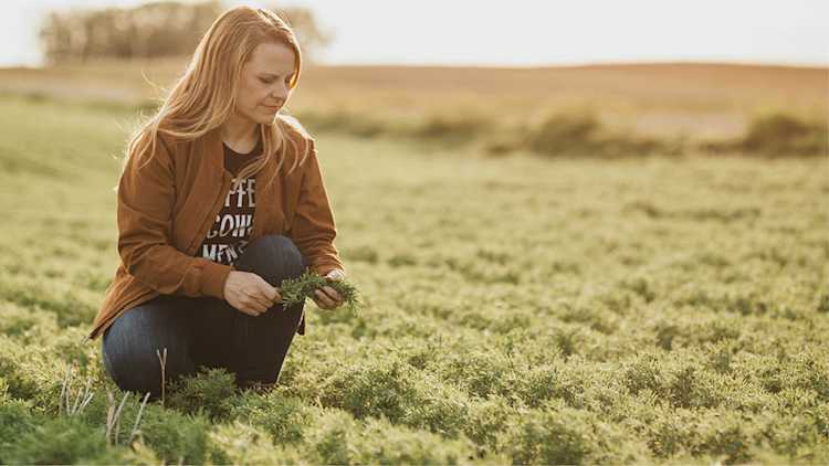 Watrous, Sask. grain farmer Lesley Kelly.
