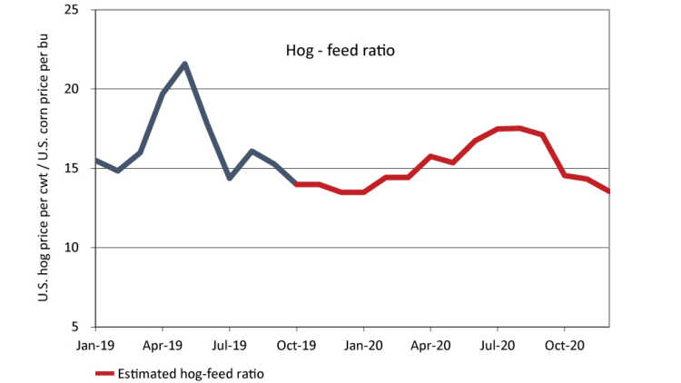 Hog - feed ratio
