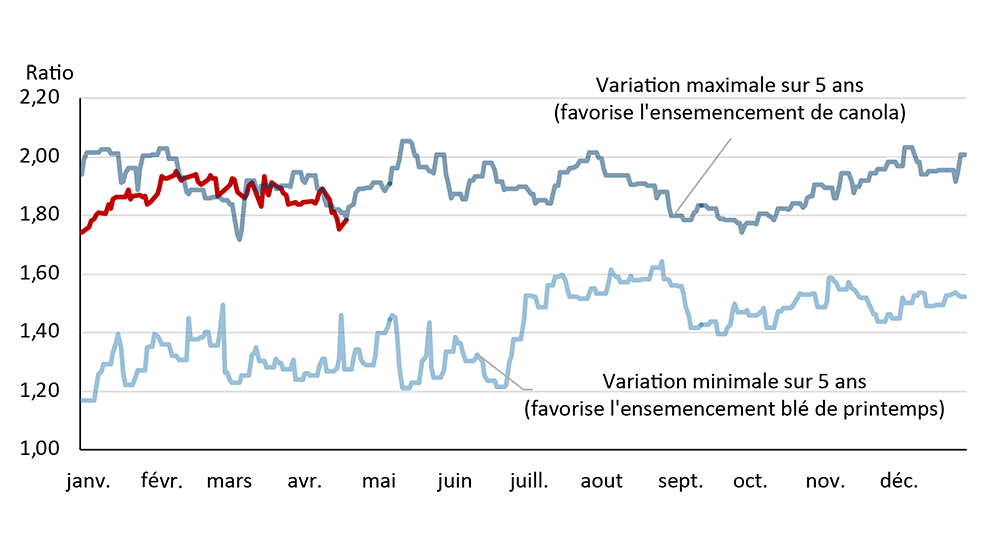 Le graphique linéaire illustre le rapport entre les prix à terme du canola et du blé de printemps. Il montre les moments où les prix sont favorables à l’ensemencement de canola et compare les prix actuels pour 2026 aux ratios minimum et maximum enregistrés au cours des cinq dernières années.
