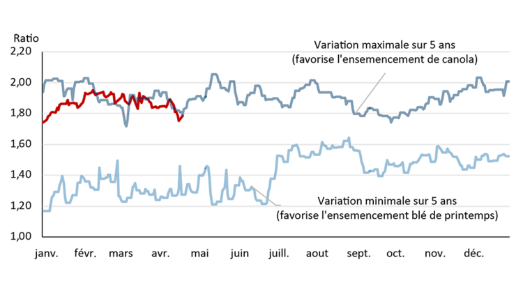 Le graphique linéaire illustre le rapport entre les prix à terme du canola et du blé de printemps. Il montre les moments où les prix sont favorables à l’ensemencement de canola et compare les prix actuels pour 2026 aux ratios minimum et maximum enregistrés au cours des cinq dernières années.