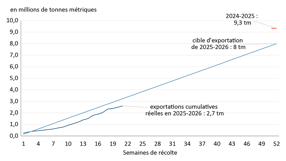 Exportations cumulatives de canola et cible d’exportation pour 2025-2026, qui seront inférieures aux exportations réelles de 2024-2025.
