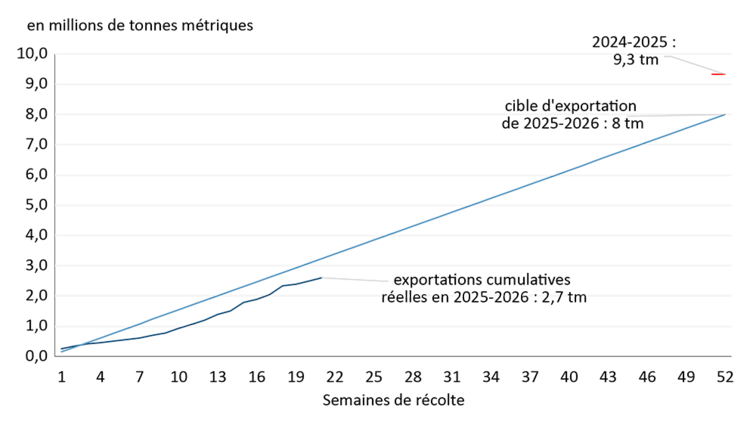 Exportations cumulatives de canola et cible d’exportation pour 2025-2026, qui seront inférieures aux exportations réelles de 2024-2025.