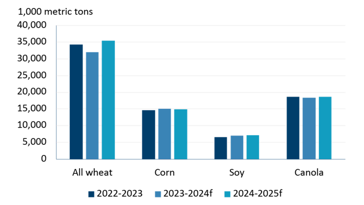 A bar chart showing Canadian wheat, corn, soy and canola production in 2022-23, 2023-24 and 2024-25 crop years.
