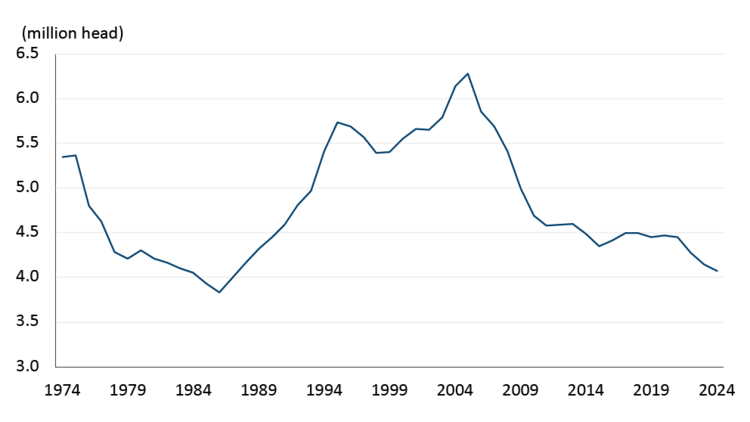 Figure 1 shows the size of the Canadian beef cow and replacement heifer herd since 1974. Since reaching a peak in 2004, the herd has declined by 35%.