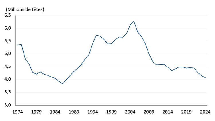 La figure 1 montre la taille du cheptel canadien de vaches de boucherie et de génisses de remplacement depuis 1974. Depuis le pic atteint en 2004, le cheptel a diminué de 35 %.