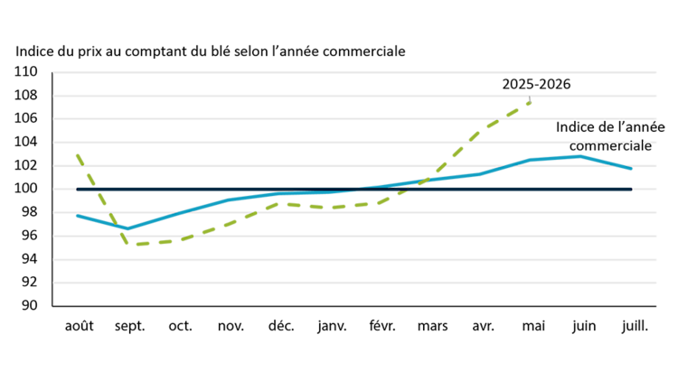 Graphique linéaire montrant comment les prix du blé diminuent habituellement en Saskatchewan au moment de la récolte, en septembre, puis remontent le reste de l’année pour atteindre un sommet en juin. L’année commerciale 2025-2026 suit relativement la tendance historique.