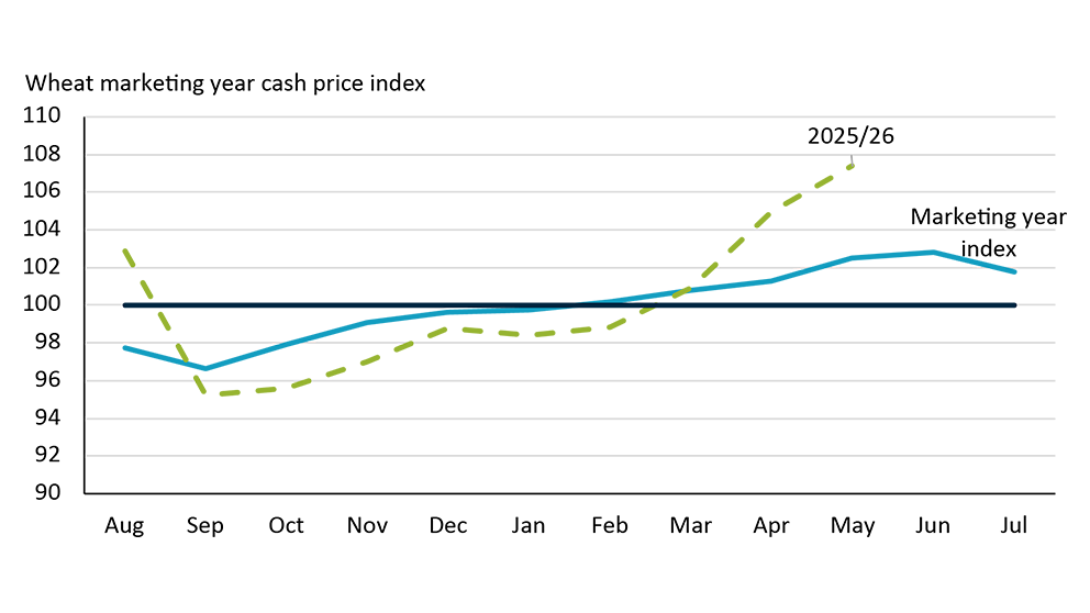 Line chart showing how wheat prices in Saskatchewan usually dip at harvest time in September before rising the rest of the year reaching a peak in June. 2025/26 marketing year somewhat matches the historical pattern.

