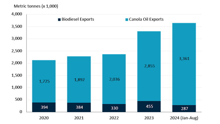 Bar chart showing exports of Canadian biodiesel and canola exports to the United States from 2020 to 2024. Since 2020, canola oil exports have been increasing.
