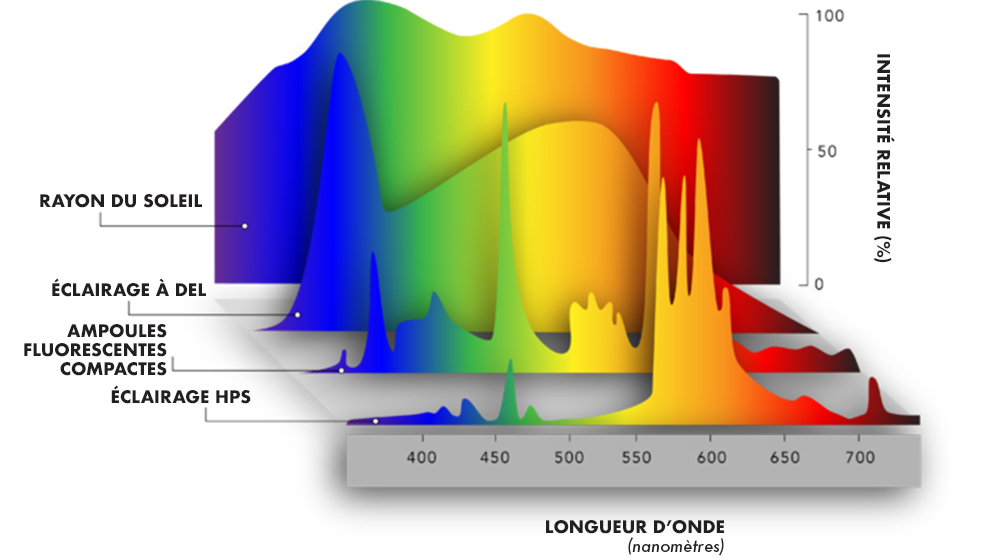 Le graphique montre les différentes longueurs d’onde produites par les rayons du soleil, l’éclairage à DEL et l’éclairage HPS.