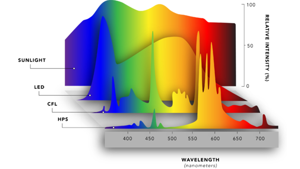 The chart displays the different wavelengths for Sunlight, LED and HPS lights.