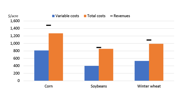 Chart showing Figure 4: Projected profitability of selected Eastern crops
