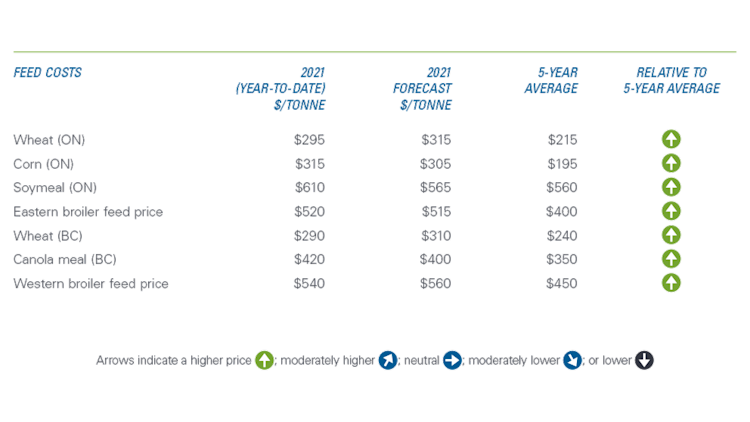 Chart showing feed prices expected to remain elevated.