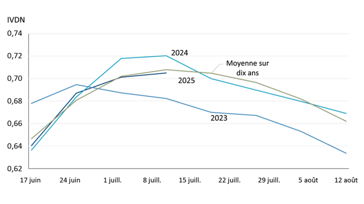 Le graphique montre les mesures de densité de la végétation au cours des années de récolte 2015 à 2024 (moyenne), ainsi que des années de récolte 2023, 2024 et 2025 en Alberta, en Saskatchewan et au Manitoba.