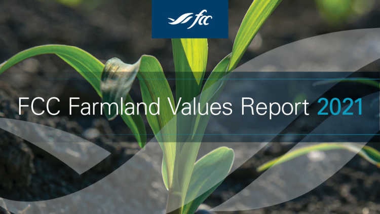 Image to introduce FCC Farmland Values Report 2021
