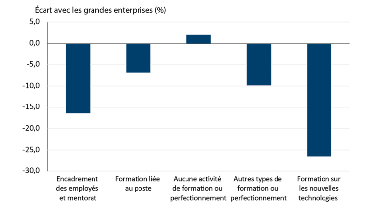 Figure 5 – Graphique à colonnes montrant que les petites entreprises sont moins susceptibles que les grandes d’offrir des activités de formation à leurs employés.