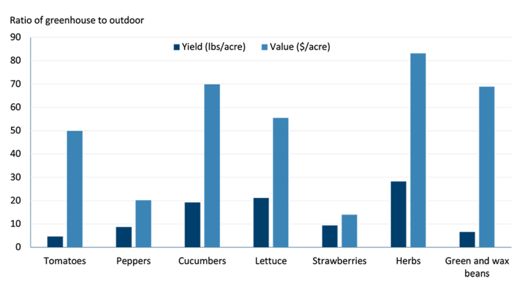 Bar chart showing the ratio of greenhouse yields and value per acre compared to outdoor production. Chart is divided up by crop. Herbs show the largest ratio for both yield and value per acre.
