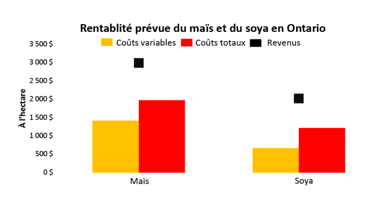 Graphique montrant la rentabilité positive du maïs et du soya dans l’Est du Canada.
