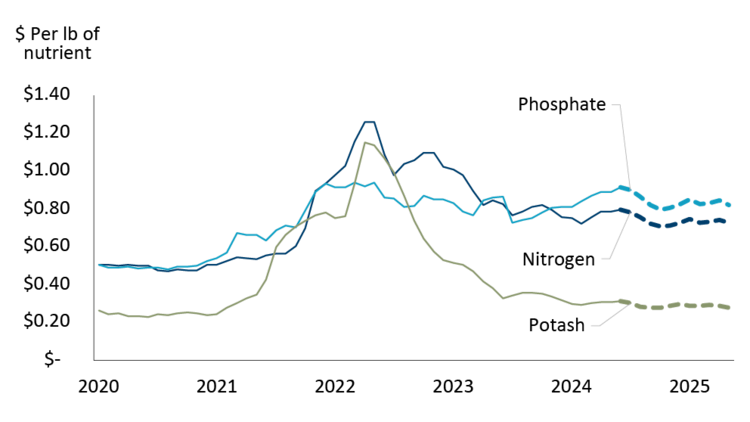 Figure showing historical and projected fertilizer prices in Canada from 2020 to 2025