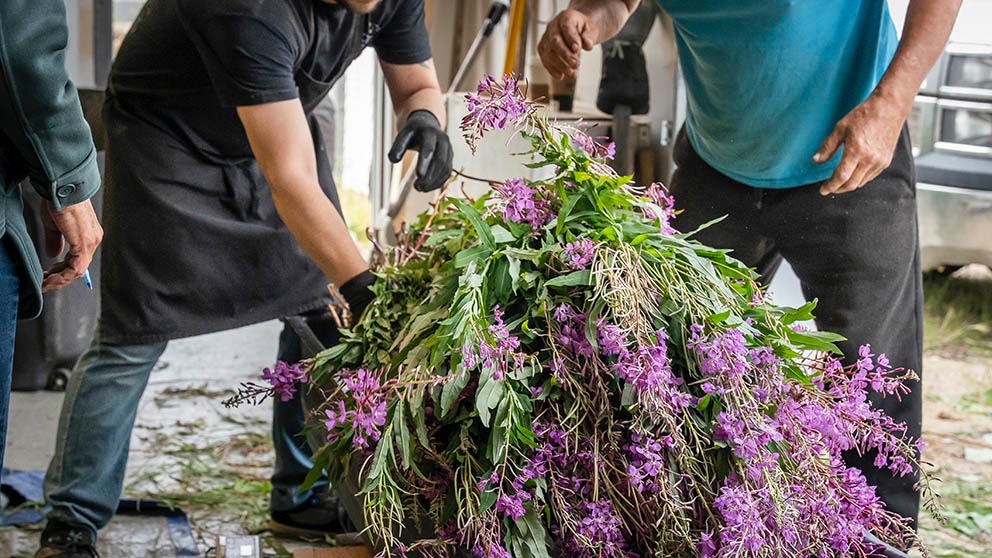 Indigenous Procurement Definitions