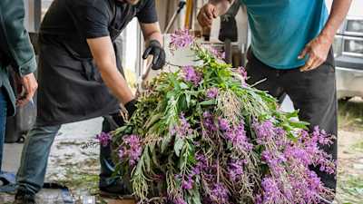 Indigenous Procurement Definitions