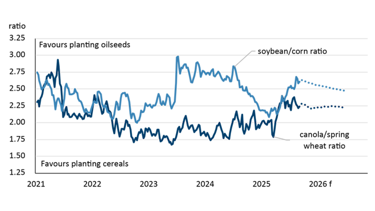 A line chart shows the crop price ratios of soybeans to corn, and canola to spring wheat, from January 2021 to August 2025, with forecast prices through June 2026.