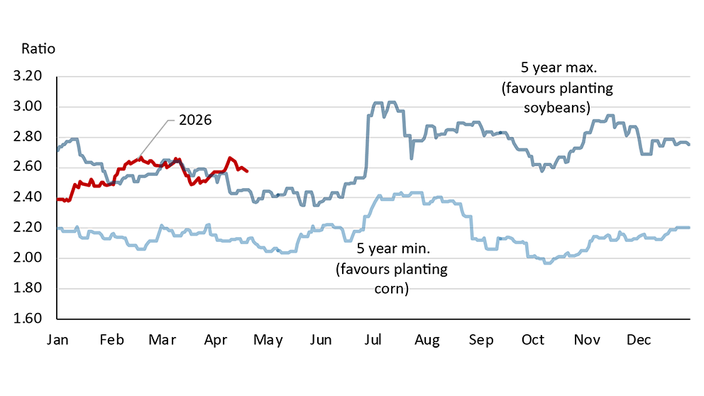 The line chart shows the soybean to corn price ratio. It highlights when prices favour planting soybeans, compares today’s 2026 prices with the minimum and maximum ratios from the past five years.
