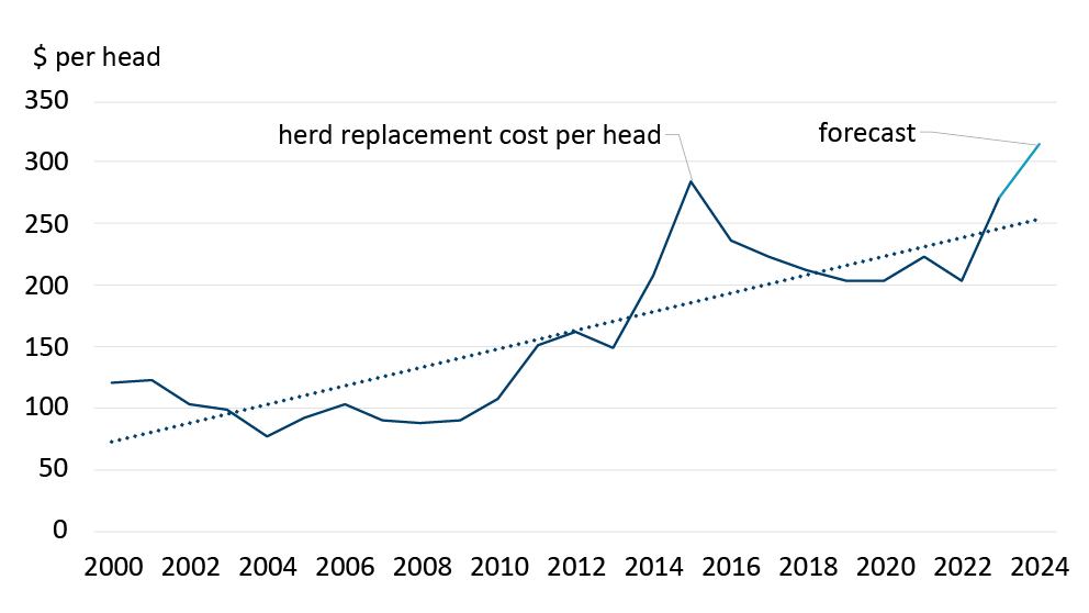 Sources Manitoba Agriculture CanFax Statistics Canada And FCC   Econ E 20240124 Fig3 