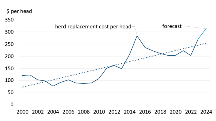 A line chart showing the upward trend in herd replacement costs between 2000 and 2023.
