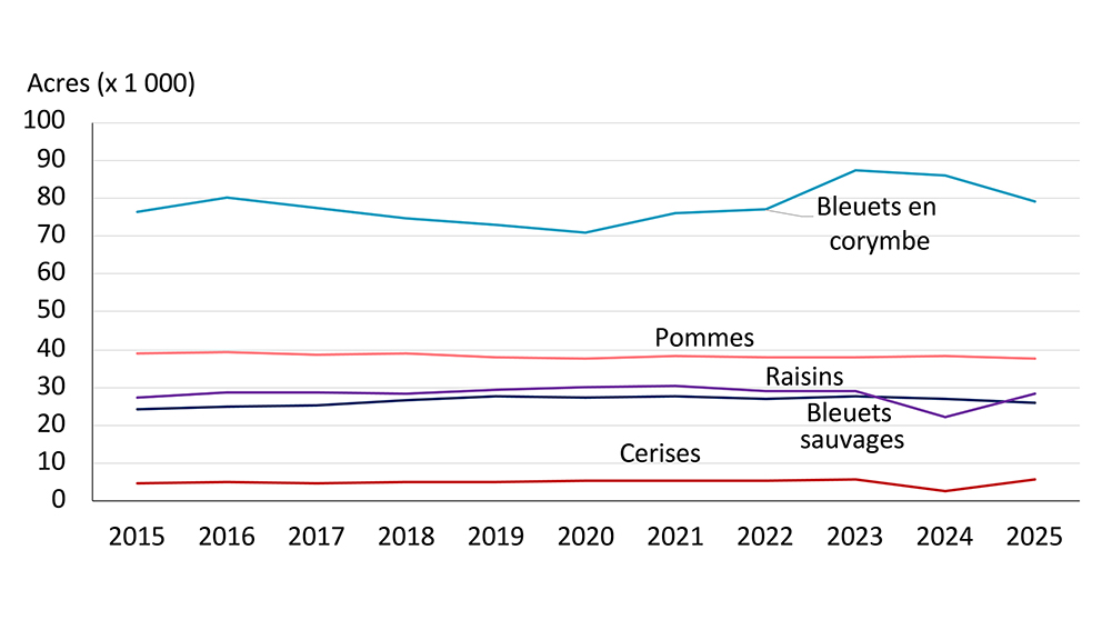 Graphique linéaire montrant la tendance de la superficie consacrée à diverses cultures fruitières au Canada de 2015 à 2025, y compris les bleuets en corymbe, les bleuets sauvages, les pommes, les raisins et les cerises. Les bleuets sauvages dominent, avec une augmentation marquée entre 2021 et 2023, tandis que d’autres cultures demeurent relativement stables, à l’exception des cerises, qui affichent une légère augmentation en 2025 après une baisse en 2024.
