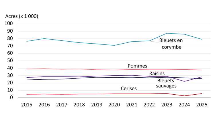 Graphique linéaire montrant la tendance de la superficie consacrée à diverses cultures fruitières au Canada de 2015 à 2025, y compris les bleuets en corymbe, les bleuets sauvages, les pommes, les raisins et les cerises. Les bleuets sauvages dominent, avec une augmentation marquée entre 2021 et 2023, tandis que d’autres cultures demeurent relativement stables, à l’exception des cerises, qui affichent une légère augmentation en 2025 après une baisse en 2024.