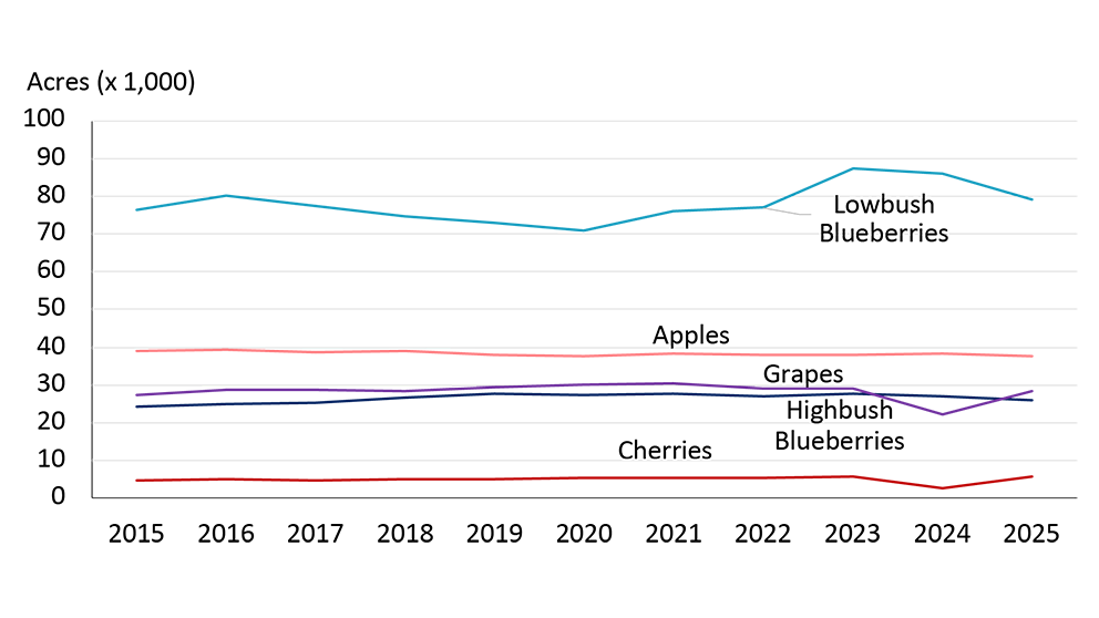 A line graph showing the trend in acreage devoted to various fruit crops in Canada from 2015 to 2025, including lowbush and highbush blueberries, apples, grapes, and cherries. Wild blueberries dominate, with a notable increase between 2021 and 2023, while other crops remain relatively stable, except for cherries, which show a slight increase in 2025 following a decline in 2024.
