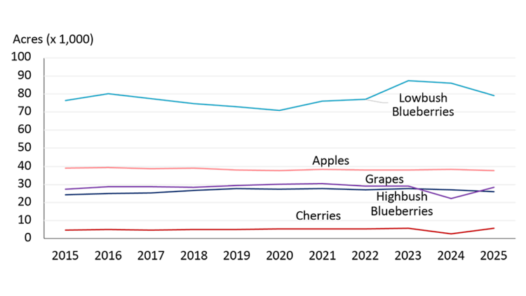 A line graph showing the trend in acreage devoted to various fruit crops in Canada from 2015 to 2025, including lowbush and highbush blueberries, apples, grapes, and cherries. Wild blueberries dominate, with a notable increase between 2021 and 2023, while other crops remain relatively stable, except for cherries, which show a slight increase in 2025 following a decline in 2024.