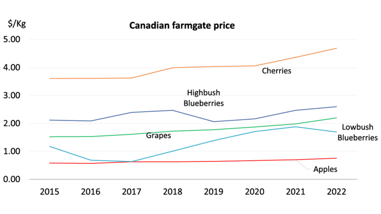 Figure 1 shows the average price per kilogram obtained for apples, high and lowbush blueberries, grapes and cherries in Canada from 2015 to 2022.
