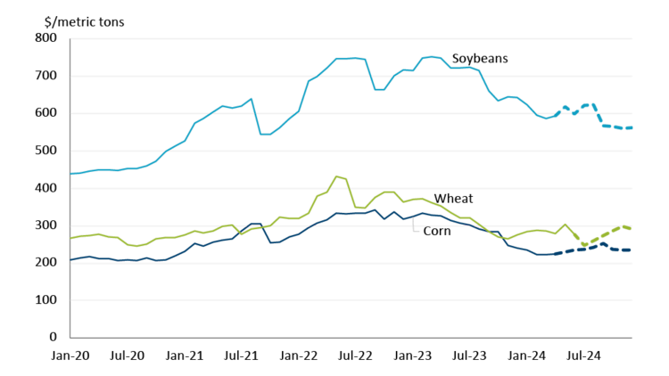 A line chart showing observed prices for soybeans, wheat and corn between January 2020 and June 2024, and forecast prices up to December 2024.