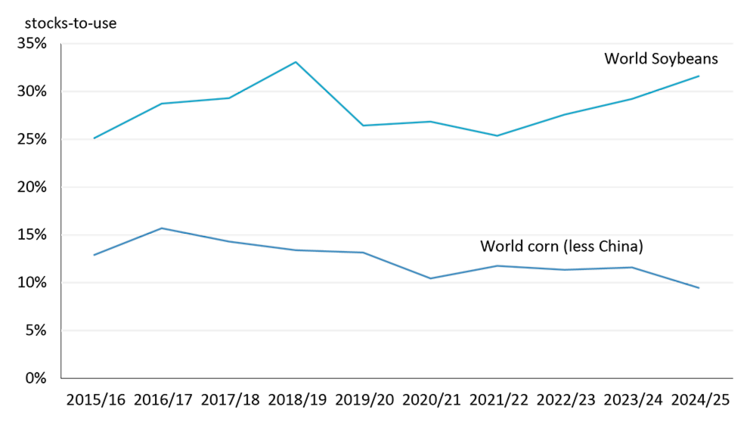 A line chart showing the stocks-to-use for world soybeans and world corn excluding China from 2015/16 to 2024/25.