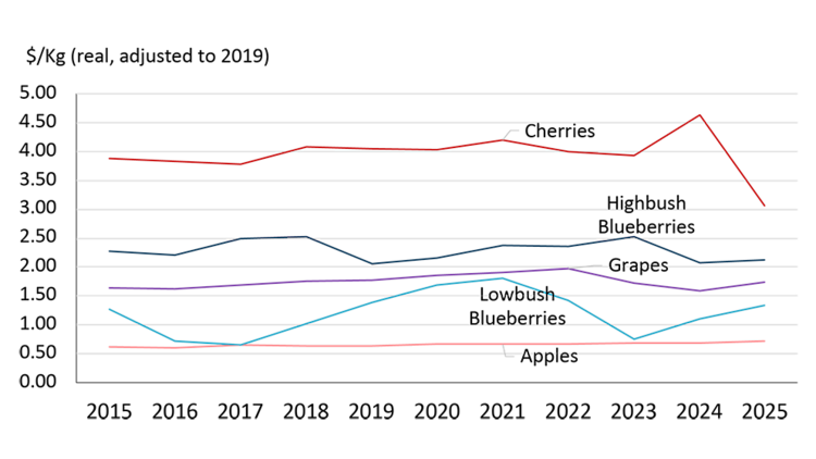 A line graph showing the trend in inflation-adjusted farm prices between 2015 and 2025 for cherries, wild blueberries, highbush blueberries, grapes, and apples. Cherries have the highest prices, peaking in 2024 before falling, while apples remain stable and blueberries and grapes show moderate fluctuations.