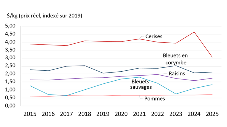 Graphique linéaire montrant la tendance des prix à la ferme rajustés en fonction de l’inflation entre 2015 et 2025 pour les cerises, les bleuets sauvages, les bleuets en corymbe, les raisins et les pommes. Les cerises affichent les prix les plus élevés, atteignant un sommet en 2024 avant de chuter, tandis que les pommes demeurent stables et que les bleuets et les raisins affichent des fluctuations modérées.