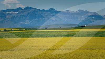 Le rapport Valeur des terres agricoles de FAC